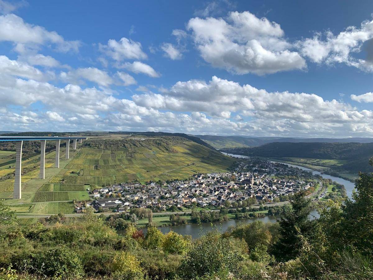 Weinhof Michael Morbach in Zeltingen-Rachtig, Bernkastel-Kues & Umgebung