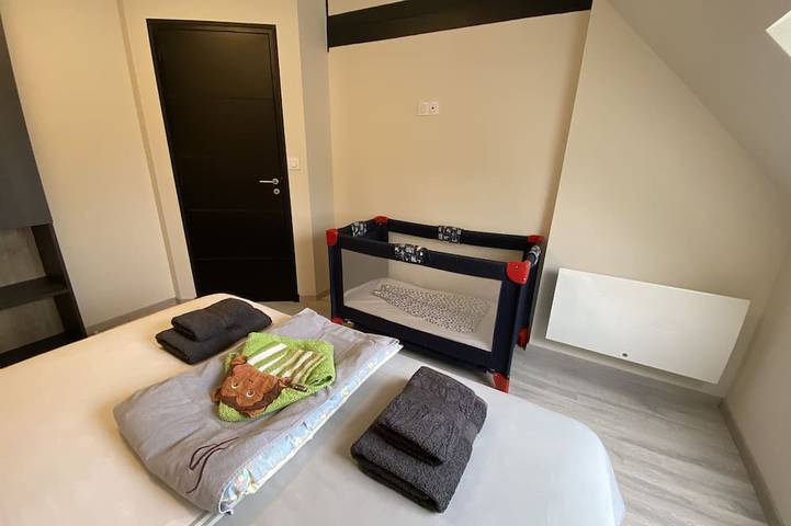 Location de vacances pour 11 personnes, avec jardin et jacuzzi, animaux acceptés à Isigny-le-Buat - 4