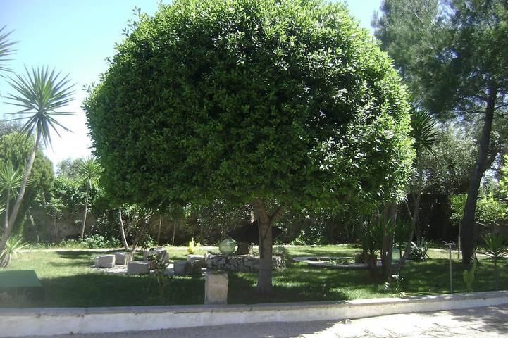 Mansión - Corigliano d'otranto in Corigliano d'Otranto, Provincia de Lecce