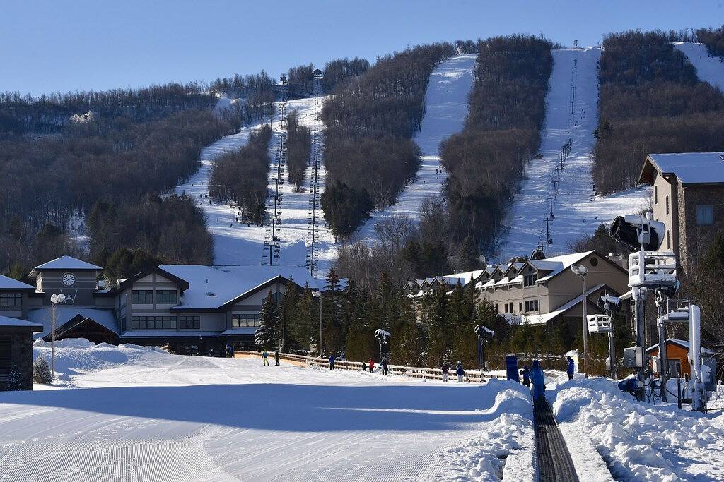 Kundenspezifische Luxuskabine auf 2. 5 Hektar, 10 Minuten nach Windham & Hunter Mountains! in Catskill Mountains