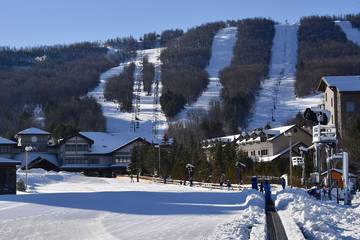 Vacation House for 6 Guests in Catskill Mountains, Greene County (NY), Picture 1