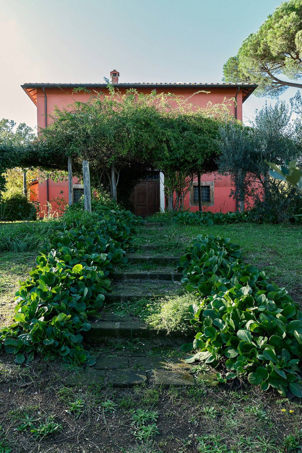 Villa inmitten von Oliven- und Haselnussbäumen in der Region Tuscia im Latium in Manziana, Braccianosee