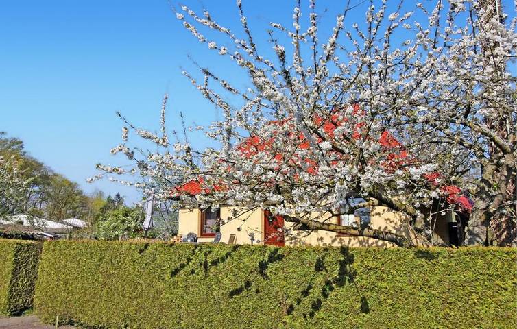 Ferienhaus für 4 Personen, mit Seeblick und Terrasse sowie Garten, mit Haustier in Waren (Müritz) - 3