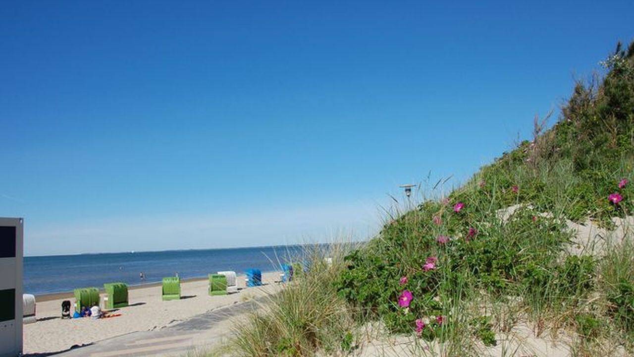 Ferienhaus für 4 Personen (140 m²) in Wyk auf Föhr in Wyk auf Föhr (Stadt), Wyk auf Föhr