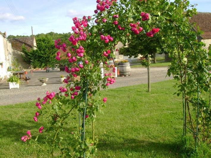 Location de vacances pour 6 personnes, avec terrasse et jardin à Chédigny - 4