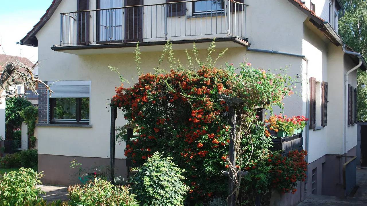 Ferienhaus für 6 Personen (75 m²) in Michelstadt in Michelstadt, Main-Odenwald
