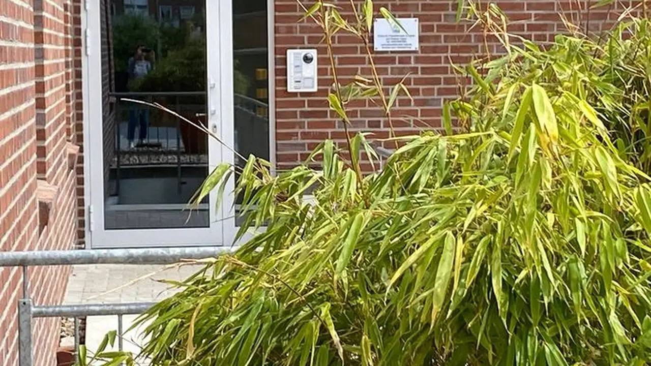 Ganze Ferienwohnung, Ferienwohnung für 3 Personen (73 m²) in Leer in Leer, Ostfriesland