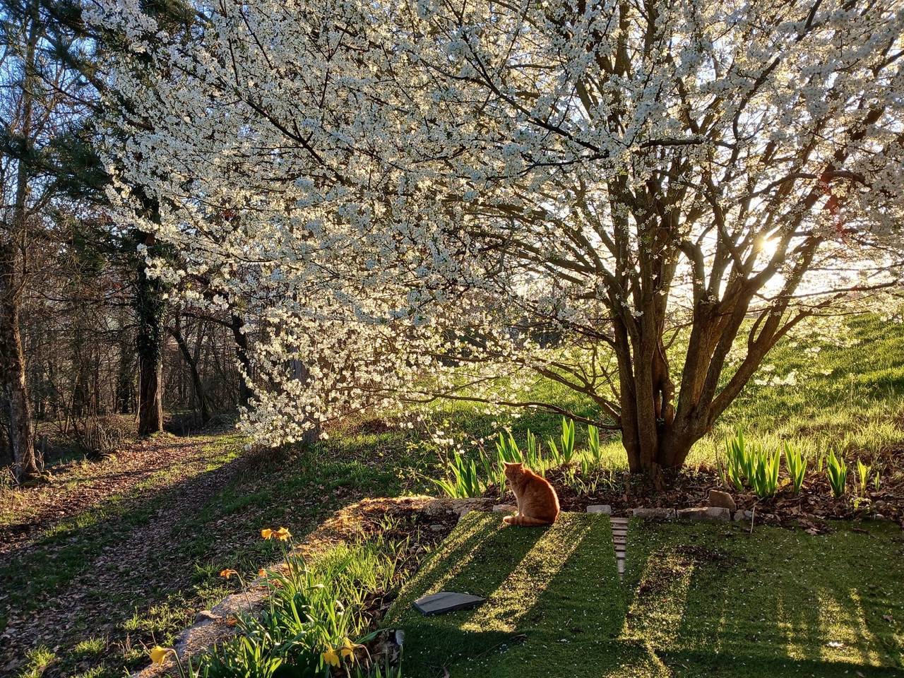 Chambre d’hôtes « Chambre D’Hôte 1 » avec vue sur la montagne et jardin commun in Beaulieu (Haute-Loire), Haute-Loire
