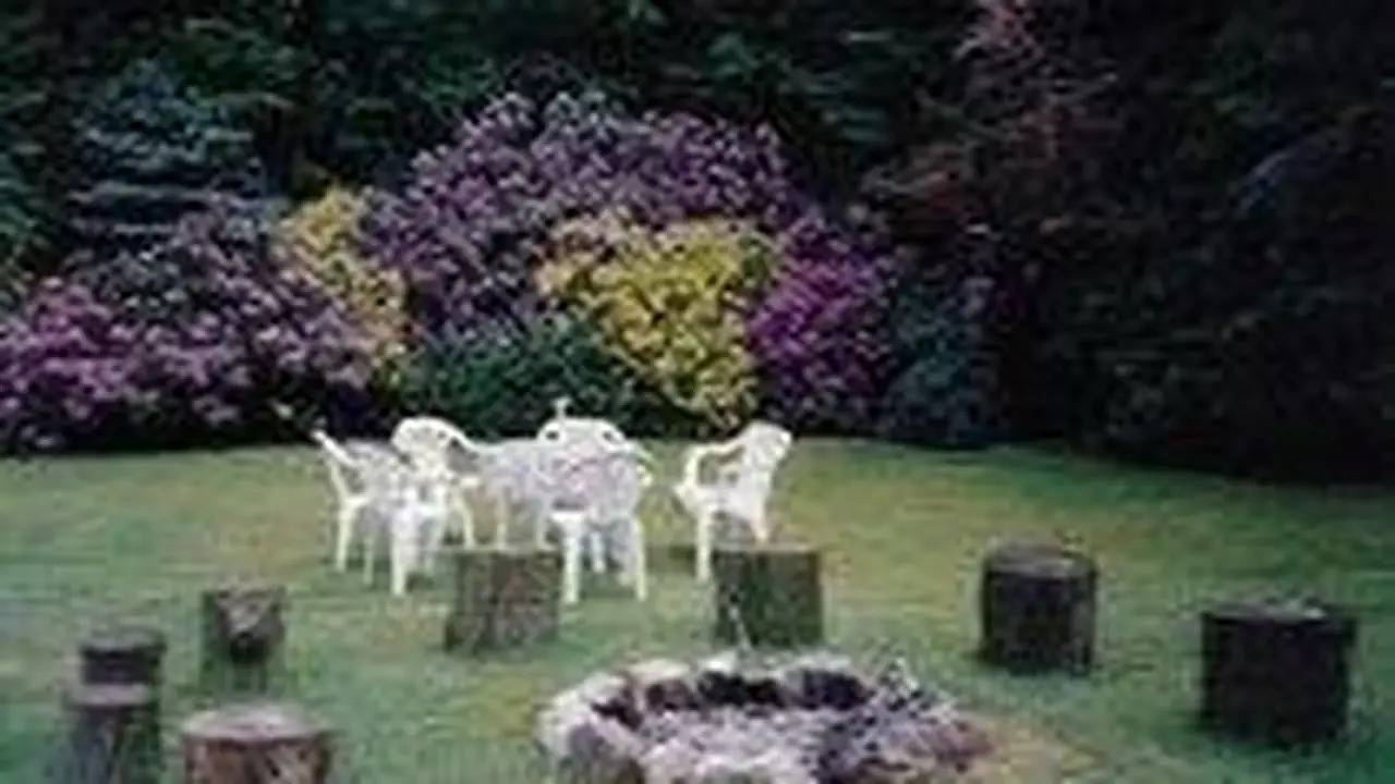 Ganze Ferienwohnung, Ferienwohnung für 3 Personen (90 m²) in Schneverdingen in Schneverdingen, Landkreis Heidekreis