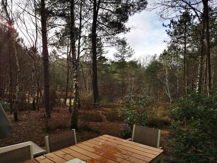 Location de vacances pour 8 personnes, avec terrasse à Chaumont-sur-Tharonne - 3