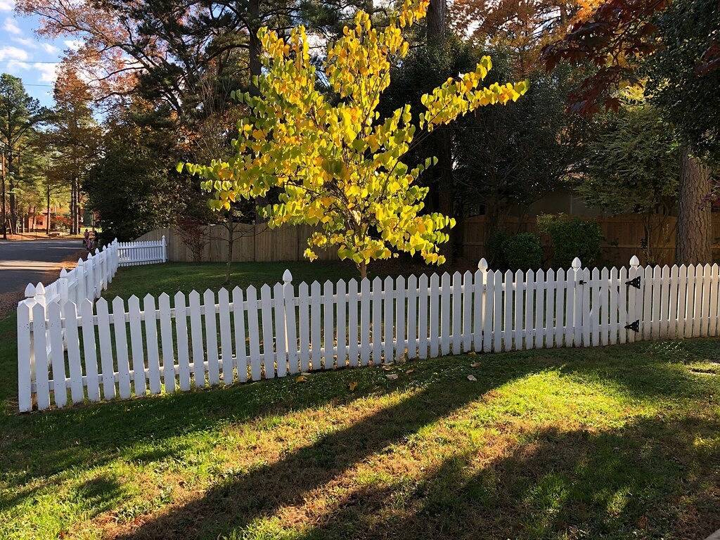 In der Nähe von Downtown Richmond & Univ. von Richmond in Richmond, Virginia