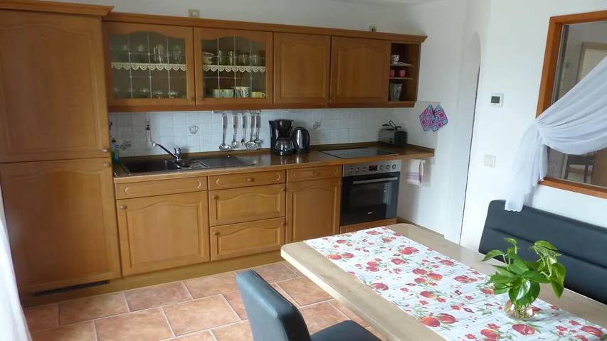 Ferienwohnung für 4 Personen, mit Terrasse und Pool in Pirna - 4