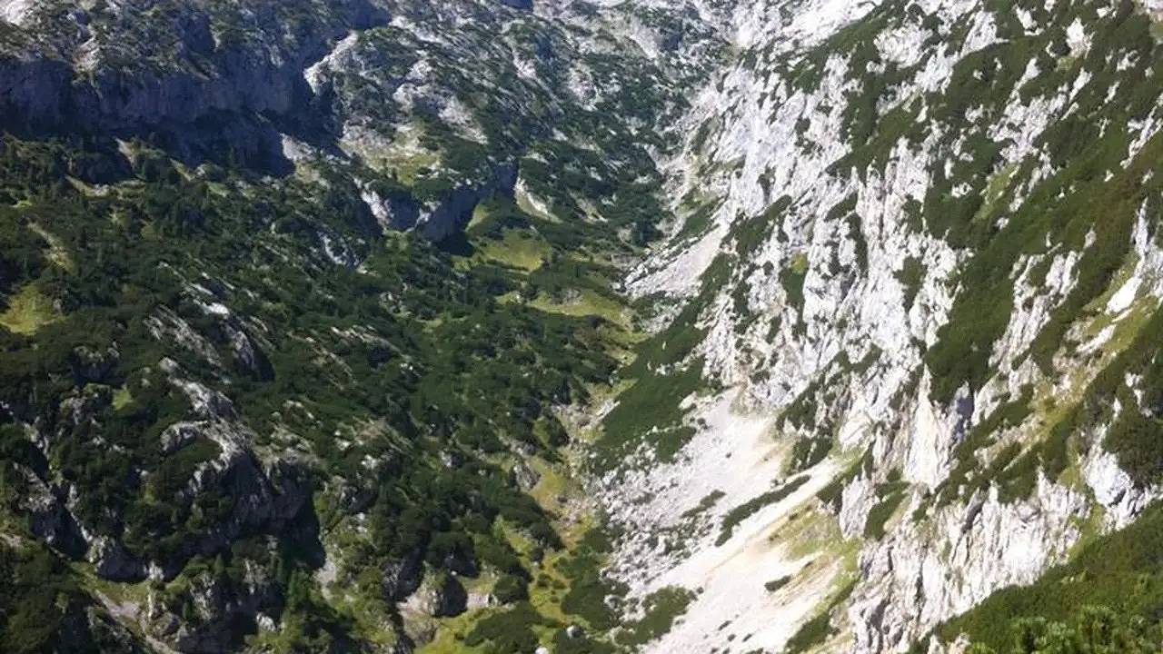 Ganze Ferienwohnung, Ferienwohnung für 5 Personen (60 m²) in Schladming in Schladming, Schladming-Dachstein