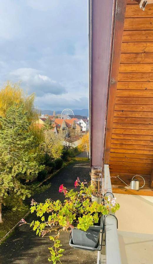 Appartement entier, Grillen's Garden in Colmar, Région de Colmar