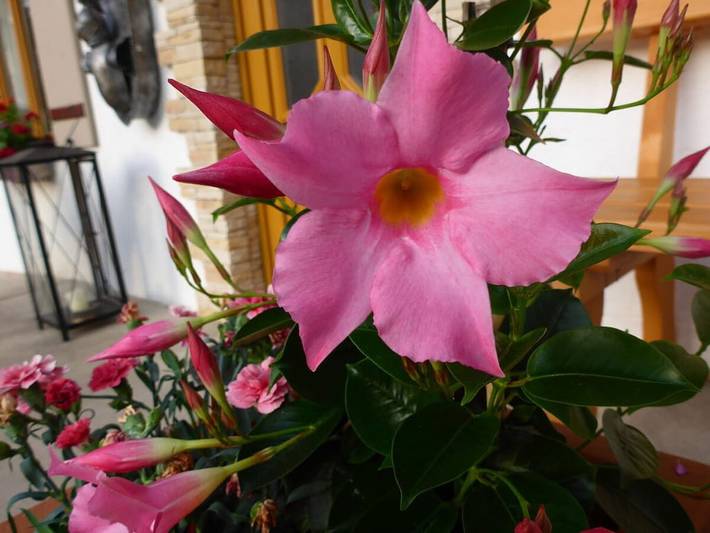 Ferienhaus für 4 Personen in Bischofswiesen - 4