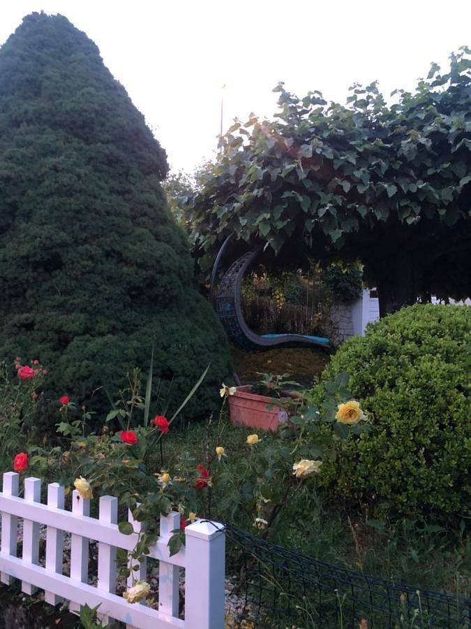 Location de vacances pour 2 personnes, avec jardin, animaux acceptés à Limoges - 3