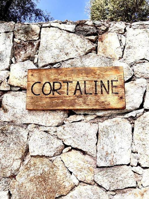 Gîte pour 6 personnes, avec jardin ainsi que vue et piscine à Lama - 3