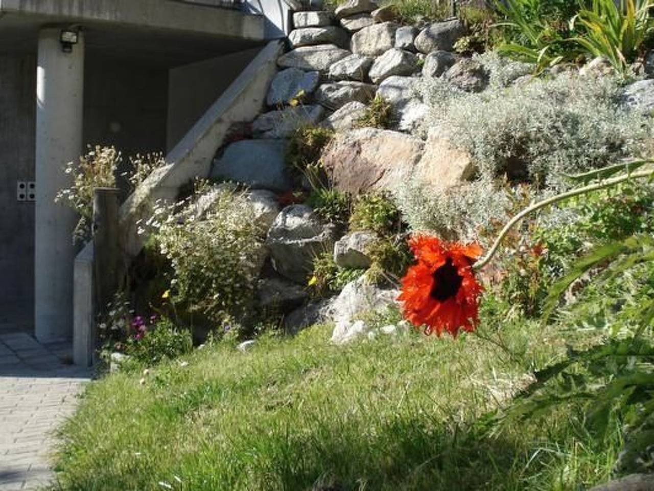 Ganze Wohnung, Studio in Spinas, Bever
