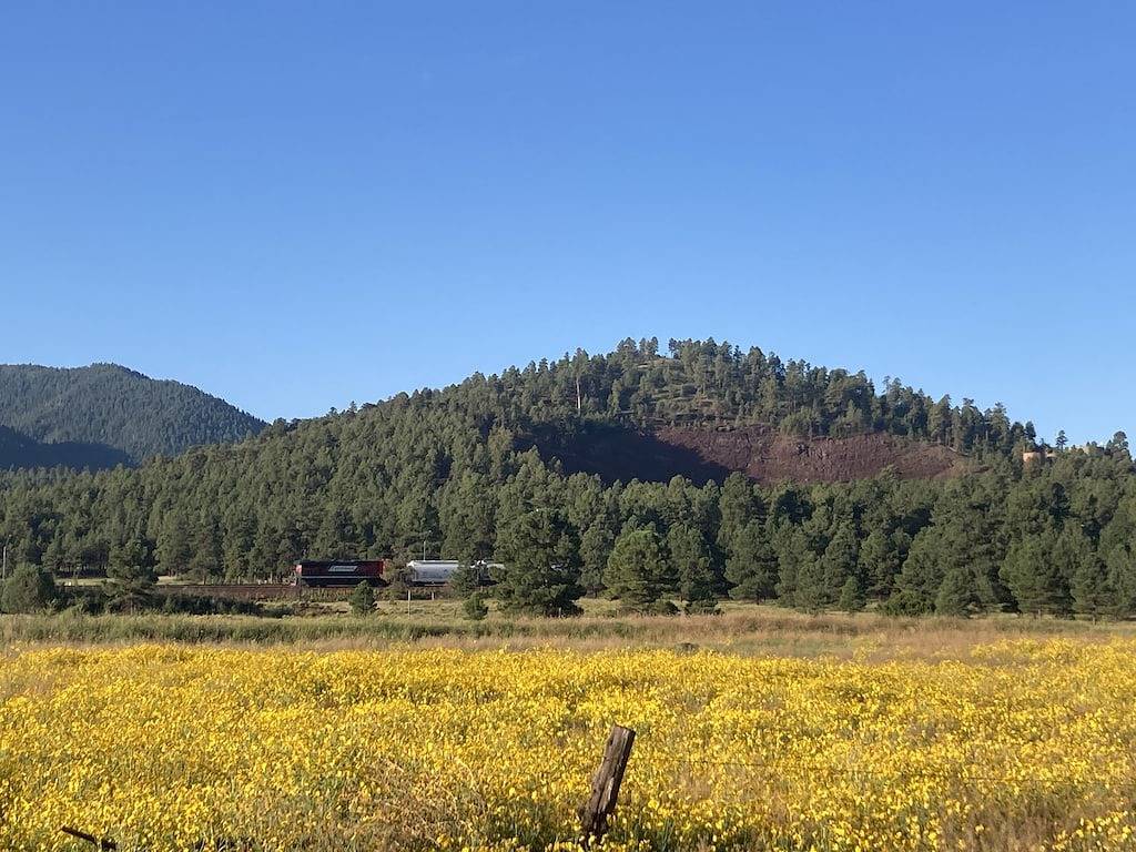 Family Friendly-Grand Getaway Williams! Walk to downtown Route 66 & Gc Railway! in Williams (Arizona), Coconino Nationalwald