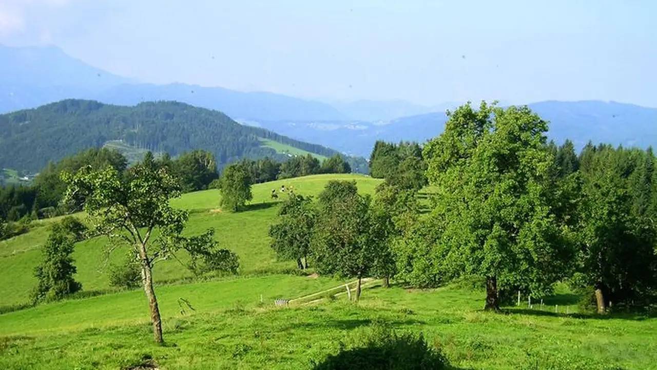 Doppelzimmer für 1 Personen (22 m²) in Weyregg am Attersee in Salzkammergut-Berge, Weyregg am Attersee