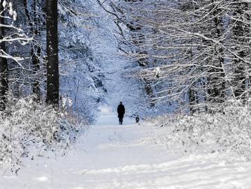 Ferienwohnung für 10 Personen in Stedesdorf, Landkreis Wittmund, Bild 2