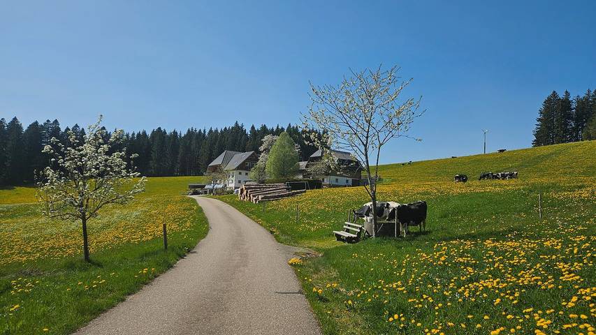 Ferienwohnung für 2 Personen, mit Garten, mit Haustier in Titisee-Neustadt