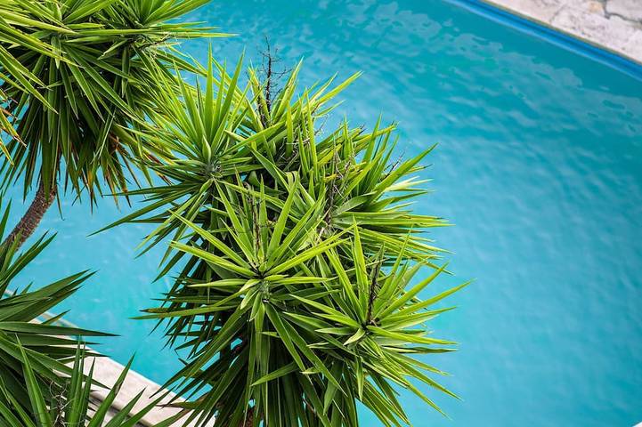 Ferienwohnung für 5 Personen, mit Pool in Petrcane