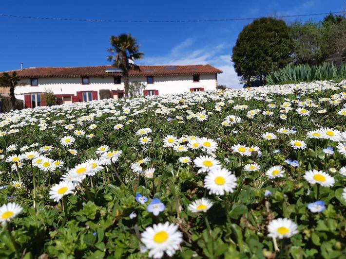 Chambre d’hôte pour 2 personnes, avec piscine ainsi que terrasse et jardin dans l' Ariège - 2
