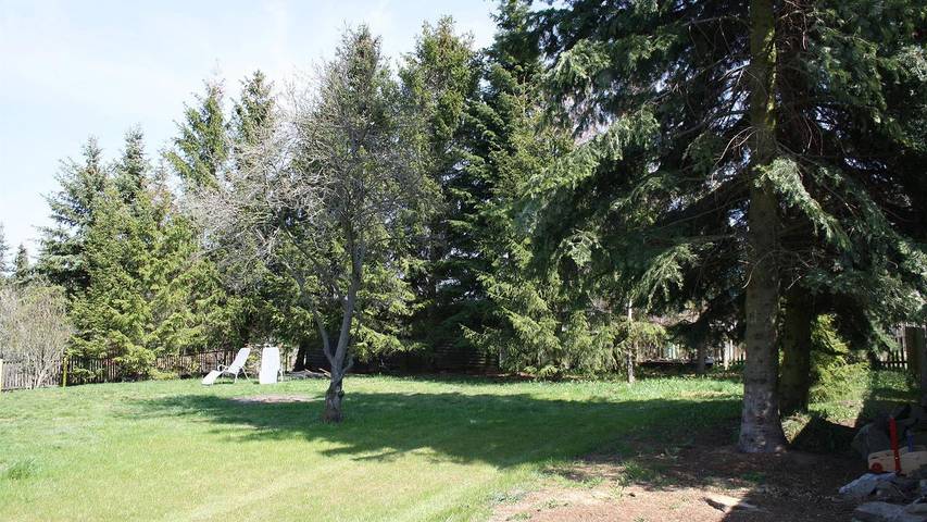 Ferienhaus für 4 Personen, mit Garten in Allrode - 4