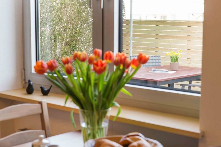 Ganze Wohnung, Ferienwohnung Am Alpenblick, 40qm, Terrasse, 1 Wohn-/Schlafzimmer, max. 2 Personen in Lindau, Bayerisch Schwaben