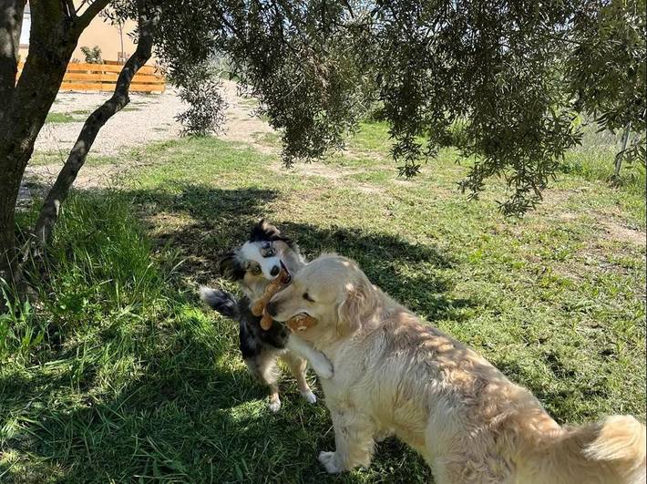 Location de vacances pour 2 personnes, avec vue et jardin, animaux acceptés à Violès - 2
