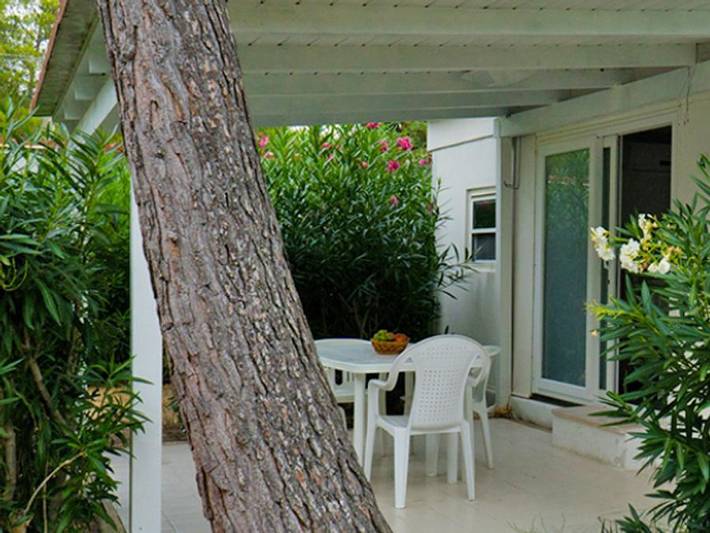 Camping für 4 Personen, mit Haustier in Apulien - 3