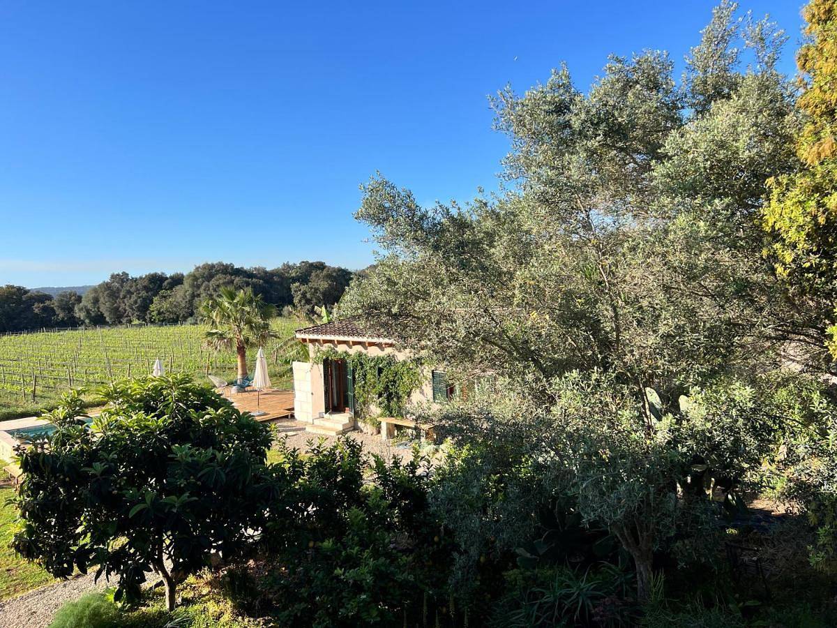 Two-Bedroom Chalet in Inca, Majorca Center