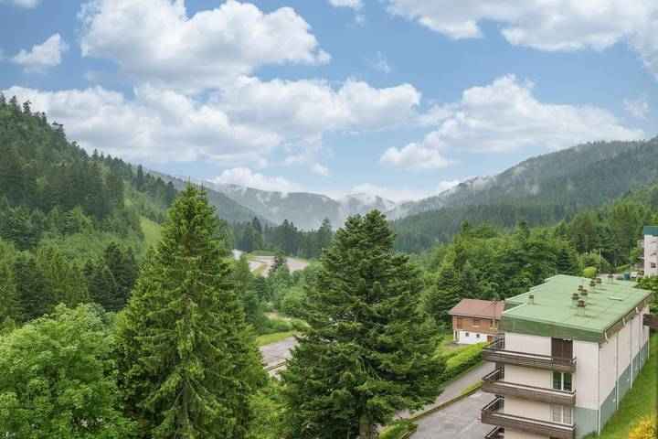 Gîte pour 4 personnes, avec Balcon à La Bresse - 4