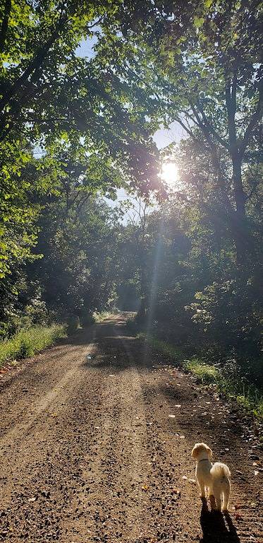 Abgeschiedene rustikale Hütte in Monroe County (WI)