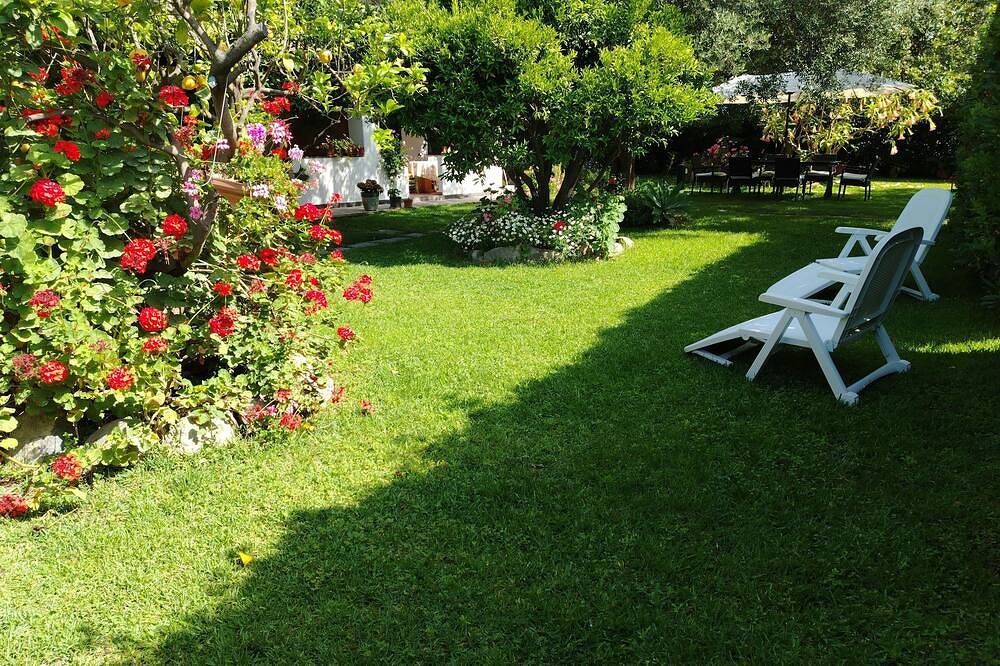 Apartamento entero, Apartment surrounded by nature within walking distance of free hot springs in Forio, Ischia