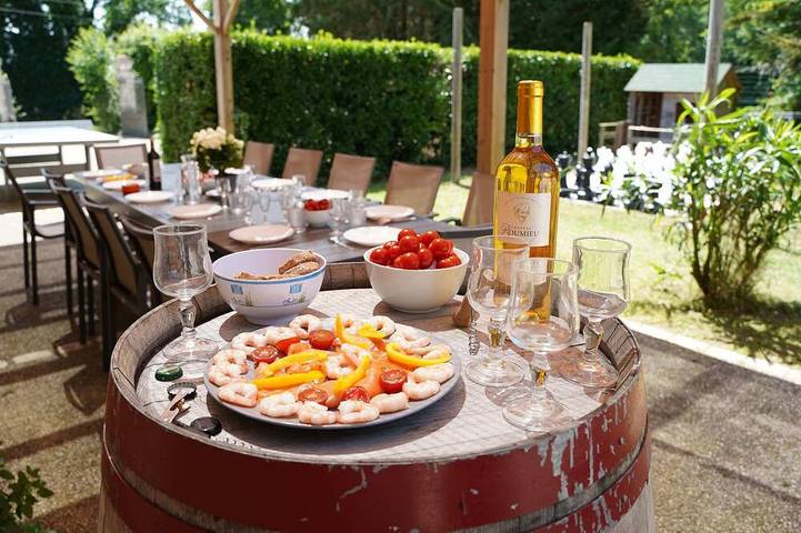 Ferienhaus für 11 Personen, mit Garten, mit Haustier - 1