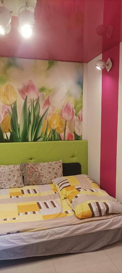 Cały apartament, One-Bedroom Apartment in Będzin, Śląsk