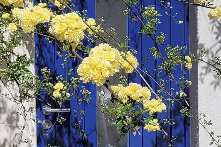 Location de vacances pour 2 personnes, avec jardin et jacuzzi à Congénies - 4