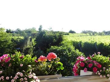Ferienwohnung für 4 Personen in Waltershofen, Freiburg, Bild 4