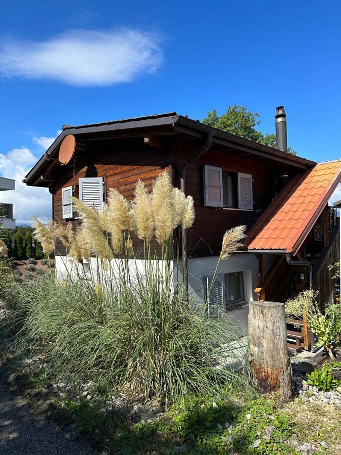 Ferienhaus für 4 Personen, mit Terrasse und Garten sowie Seeblick und Ausblick in Kanton Freiburg - 3