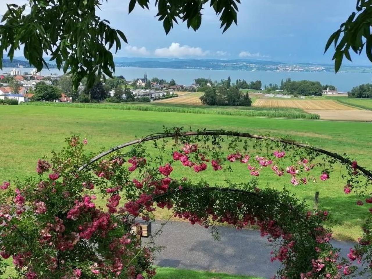 Appartement entier, Studio Ferienwohnung - 38 m2- mit Gartennutzung in Bottighofen, Lac de Constance (Suisse)