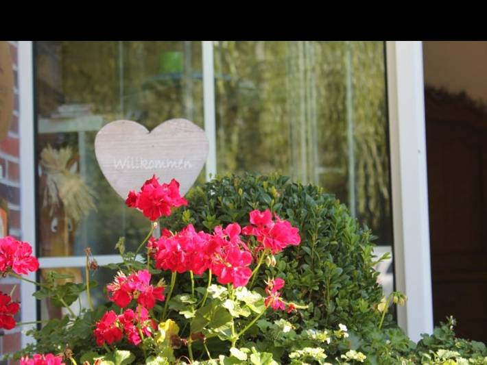 Bauernhof für 4 Personen, mit Sauna und Garten, mit Haustier in Wangerland - 2