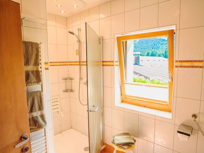 Ferienwohnung für 4 Personen, mit Balkon in Schattwald - 4
