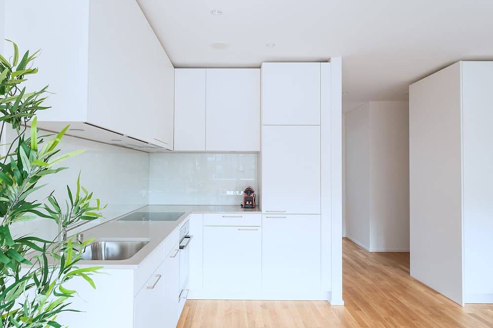 Appartamento intero, Bs Fox I - Messe Hitrental Apartment in Basilea, Aargau-Basel