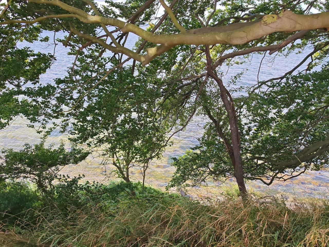 4 Personen Ferienhaus in Vordingborg-By Traum in Bakkebølle, Vordingborg