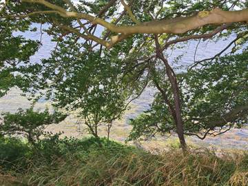 Ferieudlejning til 4 Personer i Vordingborg, Sydvestsjælland, Billede 4