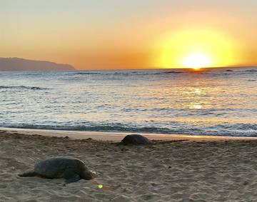 Vacation Home for 10 Guests in Makaha, Oahu, Picture 4