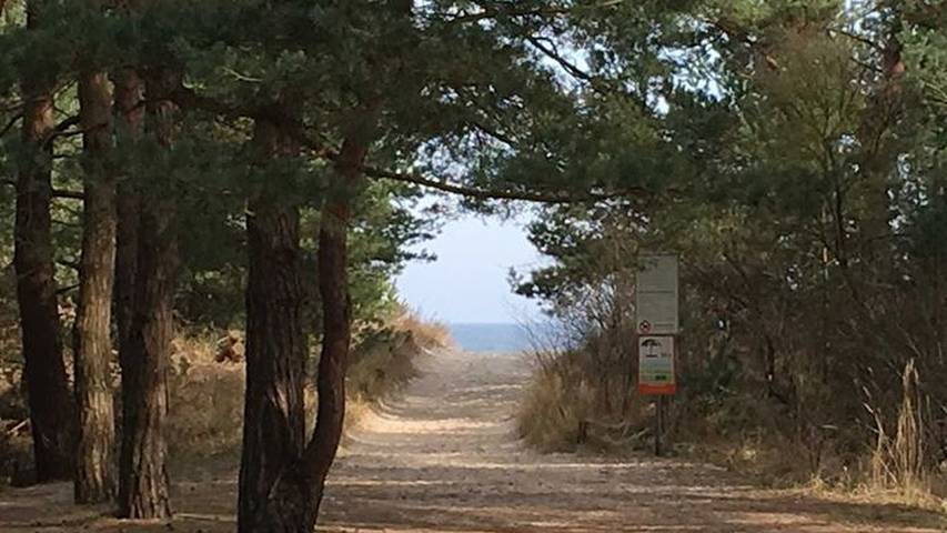 Ferienwohnung für 3 Personen, mit Terrasse in Karlshagen - 3