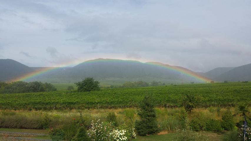 Ferienwohnung für 3 Personen in Edenkoben - 4